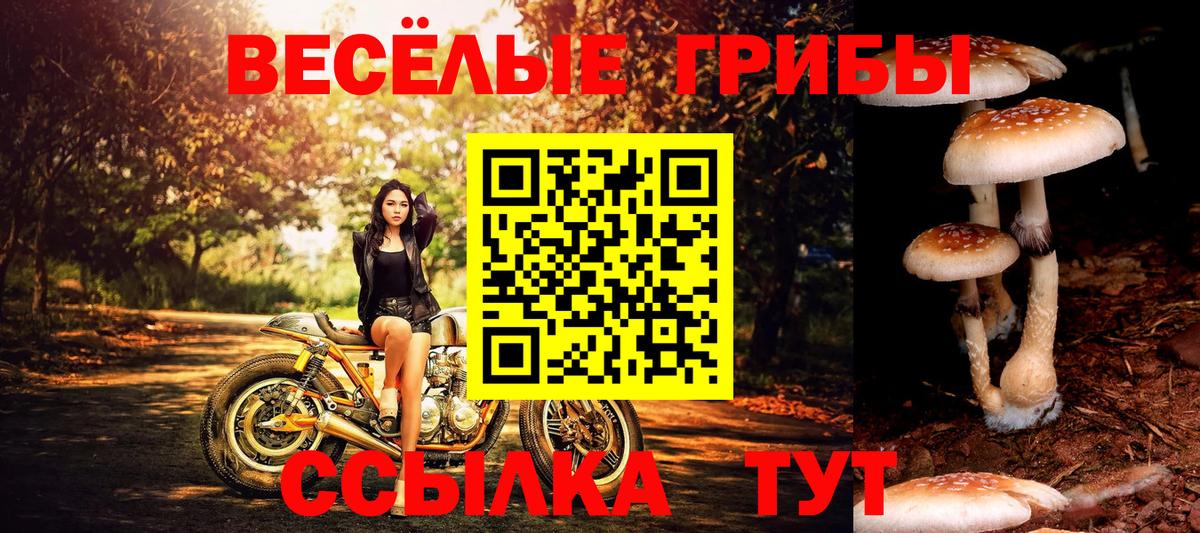 Тихвин  Псилоцибиновые грибы GOLDEN TEACHER  Вход с VPN 